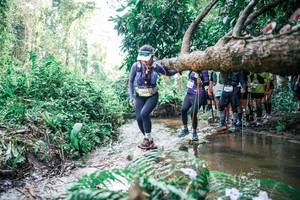 BIB: 
                            <button type="button" onclick="openModal(25473737)" class="btn btn-primary btn-sm float-right btn-popup" data-toggle="modal" data-target=".modal-high-quality">
                        <i class="fas fa-shopping-cart"></i> Add to Cart
                    </button>
                                            <button type="button" onclick="isThisMe(25473737, true)" class="btn btn-success btn-sm float-right btn-popup btn-isme hidden" data-toggle="tooltip" data-placement="bottom" title="นี่คือรูปของคุณใช่ไหม คลิกที่นี่เพื่อเอาเข้าอัลบั้ม">
                        <i class="fas fa-plus"></i> Add to album
                    </button>
                    <button type="button" onclick="isThisMe(25473737, false)" class="btn btn-warning btn-sm float-right btn-popup btn-isnotme hidden">
                        <i class="fas fa-ban"></i> Remove from album
                    </button>